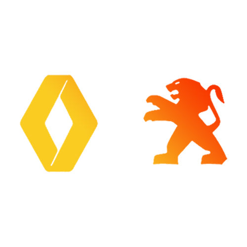 Renault Peugeot DE Lager